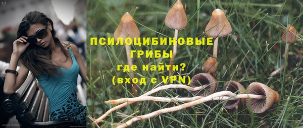 меф Белокуриха