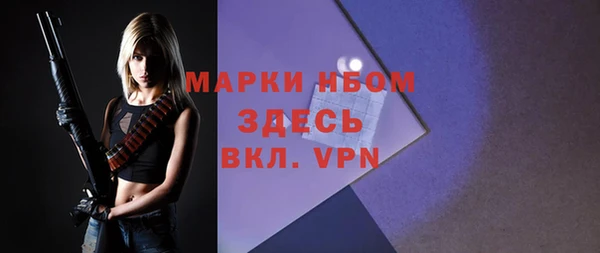 стаф Балахна