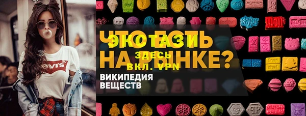 гашик Богородск